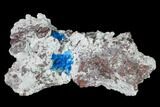 Vibrant Blue Cavansite Clusters on Stilbite - India #168257-2